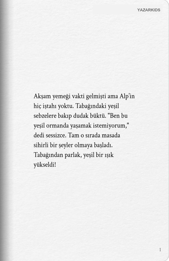 Sayfa 2