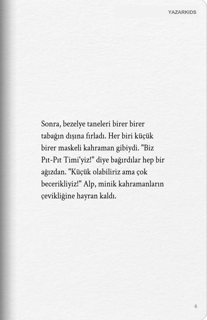 Sayfa 7