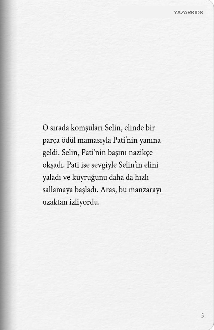 Sayfa 6