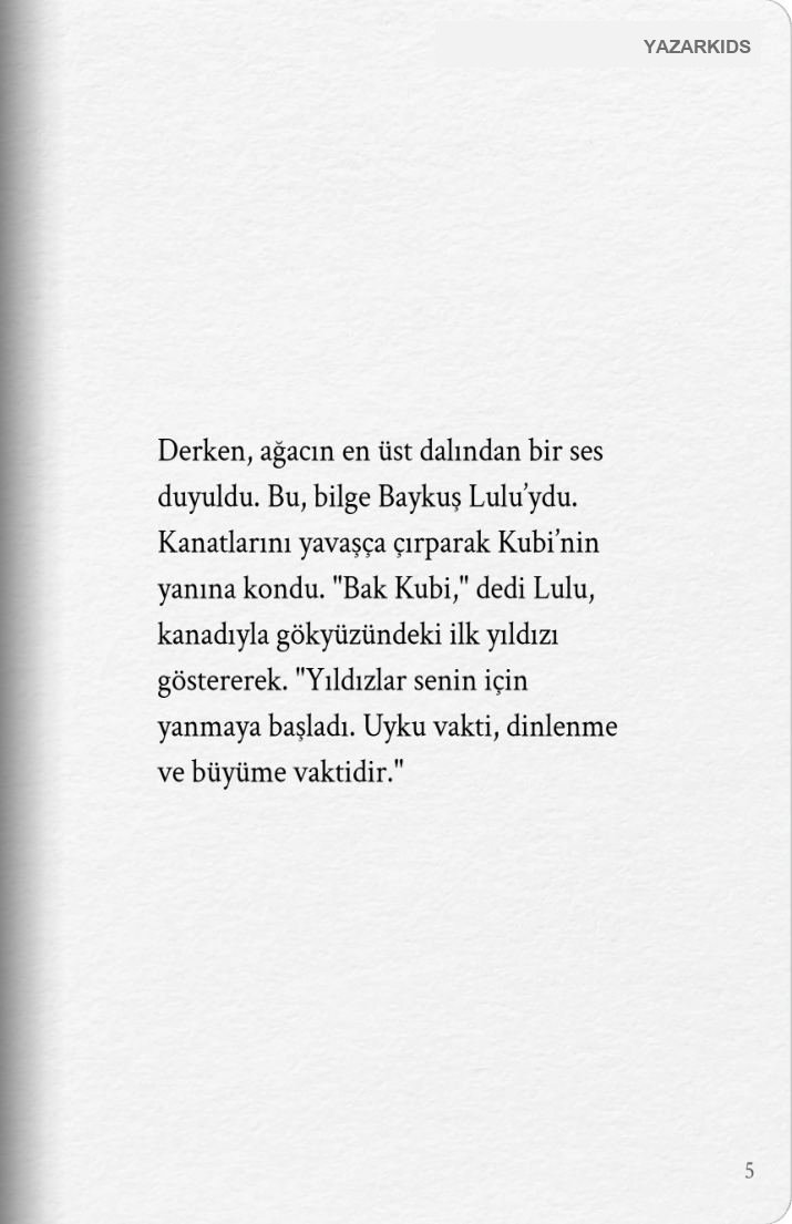 Sayfa 6