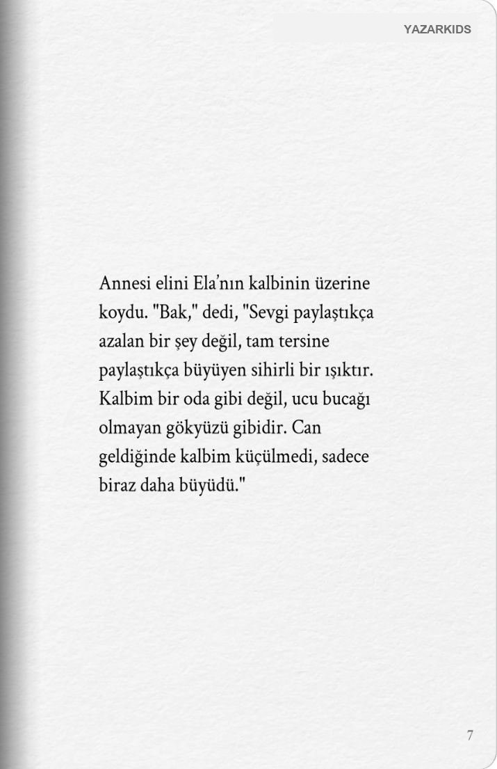 Sayfa 8