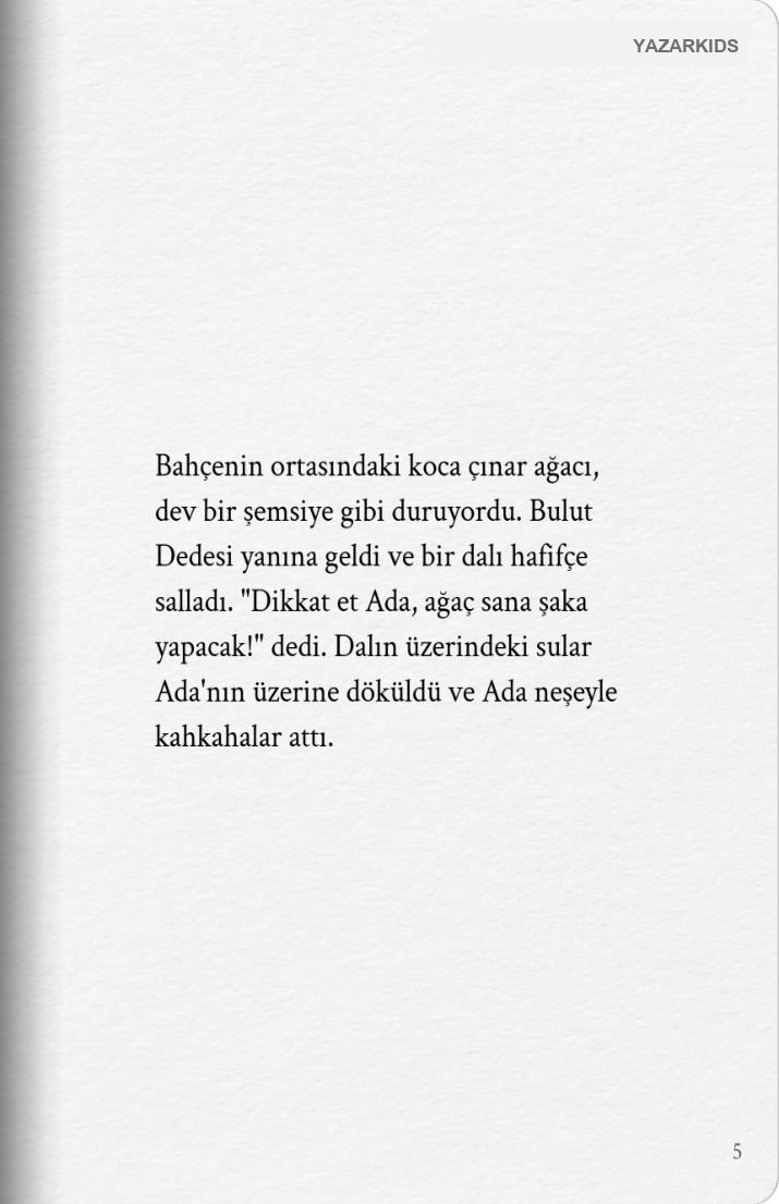 Sayfa 6